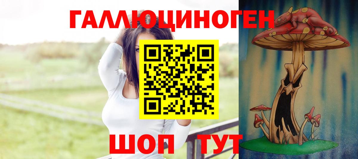 Галлюциногенные грибы Psilocybe Озёрск